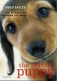 The Perfect Puppy By Gwen Bailey